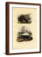 Porcupine, 1833-39-null-Framed Giclee Print