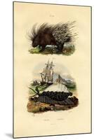 Porcupine, 1833-39-null-Mounted Giclee Print