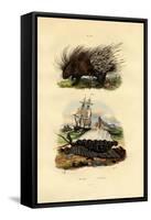 Porcupine, 1833-39-null-Framed Stretched Canvas