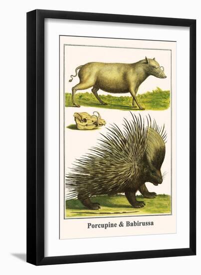 Porcupine and Babirussa-Albertus Seba-Framed Art Print