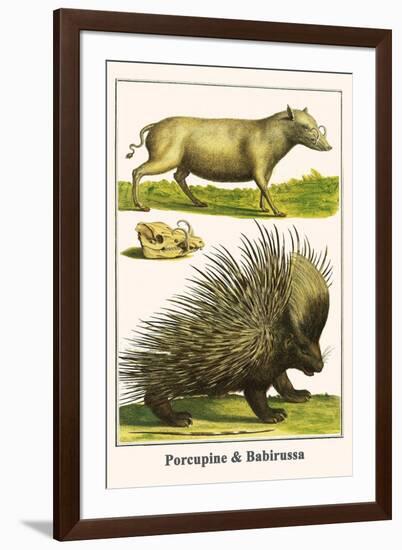 Porcupine and Babirussa-Albertus Seba-Framed Art Print