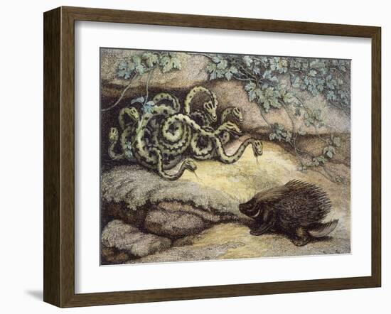 Porcupine and Snakes-null-Framed Art Print