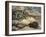 Porcupine and Snakes-null-Framed Art Print