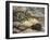 Porcupine and Snakes-null-Framed Art Print