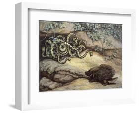 Porcupine and Snakes-null-Framed Art Print