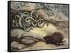 Porcupine and Snakes-null-Framed Stretched Canvas