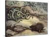 Porcupine and Snakes-null-Stretched Canvas