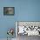 Porcupine (Erethizon Dorsatum)-James Hager-Framed Stretched Canvas displayed on a wall