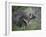 Porcupine (Erethizon Dorsatum)-James Hager-Framed Photographic Print