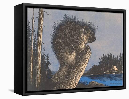 Porcupine on Stump-null-Framed Stretched Canvas