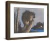 Porcupine on Stump-null-Framed Art Print