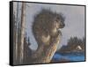 Porcupine on Stump-null-Framed Stretched Canvas