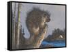 Porcupine on Stump-null-Framed Stretched Canvas