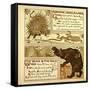 Porcupine Snake and Company the Bear and the Bees-null-Framed Stretched Canvas