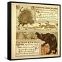 Porcupine Snake and Company the Bear and the Bees-null-Framed Stretched Canvas
