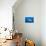 Porcupinefish (Diodon Hystrix)-Reinhard Dirscherl-Photographic Print displayed on a wall
