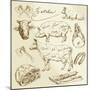 Pork and Beef Cuts - Hand Drawn Set-canicula-Mounted Art Print