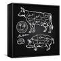 Pork and Beef Cuts - Hand Drawn Set-canicula-Framed Stretched Canvas