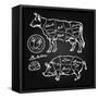 Pork and Beef Cuts - Hand Drawn Set-canicula-Framed Stretched Canvas