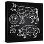 Pork and Beef Cuts - Hand Drawn Set-canicula-Stretched Canvas