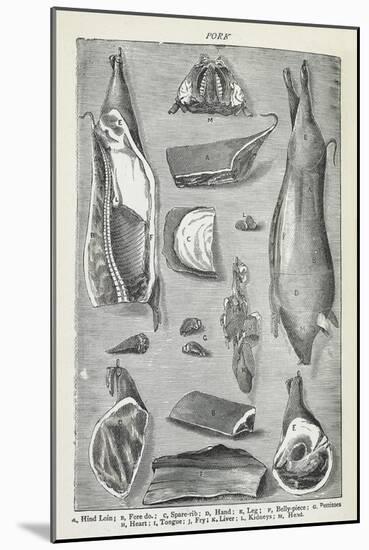 Pork. Various Joints and Cuts Of Pork-Isabella Beeton-Mounted Giclee Print