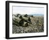 Porlock Weir-Cristiana Angelini-Framed Giclee Print