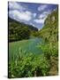 Pororari River, Paparoa National Park, West Coast, South Island, New Zealand-Rainer Mirau-Stretched Canvas