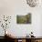 Porphyry Basin and Waterfall, San Juan National Forest, Colorado, USA-James Hager-Stretched Canvas displayed on a wall