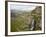 Porphyry Basin and Waterfall, San Juan National Forest, Colorado, USA-James Hager-Framed Photographic Print