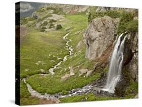 Porphyry Basin Waterfall, San Juan National Forest, Colorado, USA-James Hager-Stretched Canvas