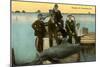 Porpoise on Boat, St. Petersburg, Florida-null-Mounted Art Print