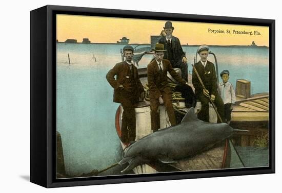 Porpoise on Boat, St. Petersburg, Florida-null-Framed Stretched Canvas