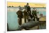 Porpoise on Boat, St. Petersburg, Florida-null-Framed Art Print