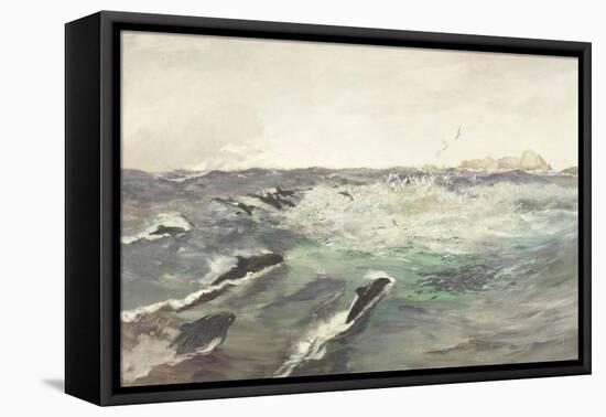 Porpoises Chasing Mackerel-Charles Napier Hemy-Framed Stretched Canvas