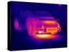 Porsche Car, Thermogram-Tony McConnell-Stretched Canvas