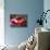 Porsche Le Mans-NaxArt-Stretched Canvas displayed on a wall