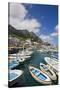 Port and Village of Marina Grande-Massimo Borchi-Stretched Canvas