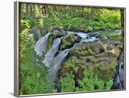 Port Angeles Falls I-George Johnson-Framed Photographic Print