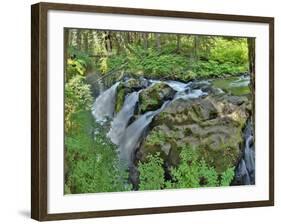 Port Angeles Falls I-George Johnson-Framed Photographic Print