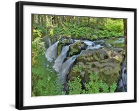 Port Angeles Falls I-George Johnson-Framed Photographic Print