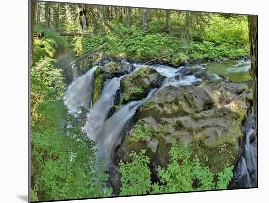 Port Angeles Falls I-George Johnson-Mounted Photographic Print