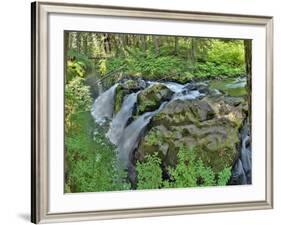 Port Angeles Falls I-George Johnson-Framed Photographic Print