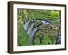 Port Angeles Falls I-George Johnson-Framed Photographic Print