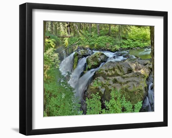 Port Angeles Falls I-George Johnson-Framed Photographic Print