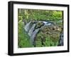 Port Angeles Falls I-George Johnson-Framed Photographic Print