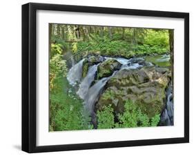 Port Angeles Falls I-George Johnson-Framed Photographic Print