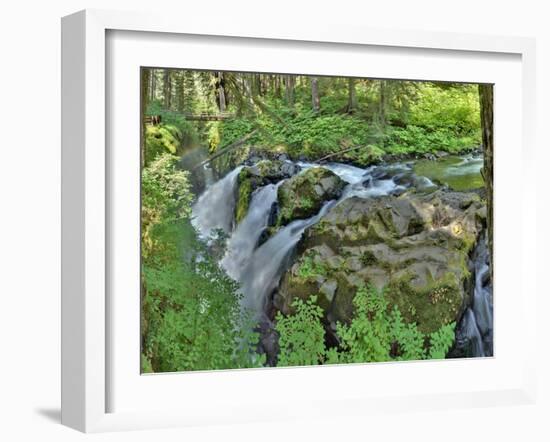 Port Angeles Falls I-George Johnson-Framed Photographic Print