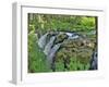 Port Angeles Falls I-George Johnson-Framed Photographic Print