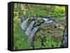 Port Angeles Falls I-George Johnson-Framed Stretched Canvas