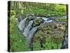 Port Angeles Falls I-George Johnson-Stretched Canvas